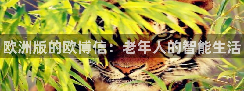 天天购彩官网注册：欧洲版的欧博信：老年人的智能生活