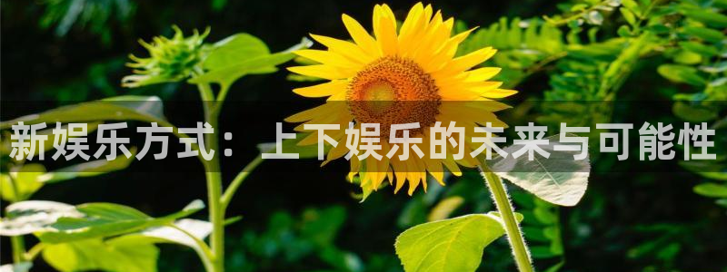 天天购彩平台开户链接：新娱乐方式：上下娱乐的未来与可能性