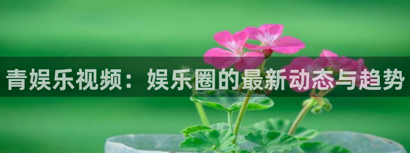 天天购彩体育：青娱乐视频：娱乐圈的最新动态与趋势