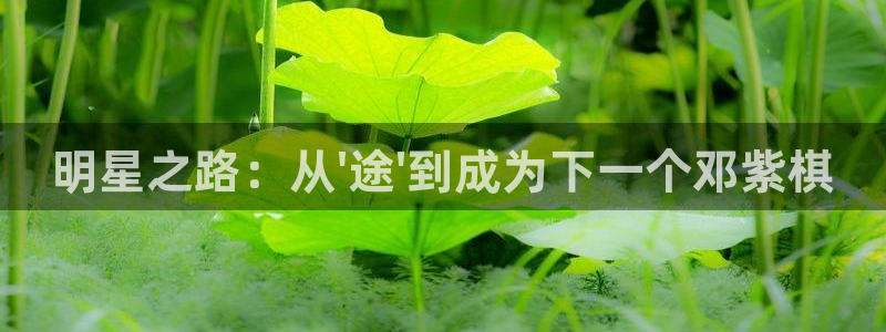 天天购彩3登陆：明星之路：从\'途\'到成为下一个邓紫棋