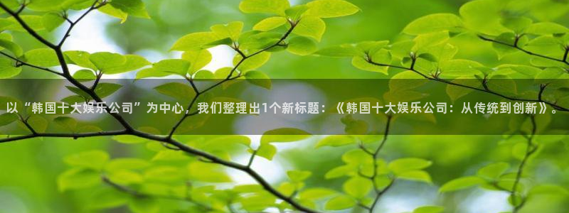 东莞市天天购彩电子科技有限公司：以“韩国十大娱乐公司”为中心，我们整理出1个新标