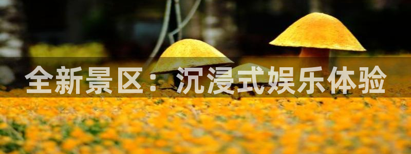 天天购彩集团总部：全新景区：沉浸式娱乐体验