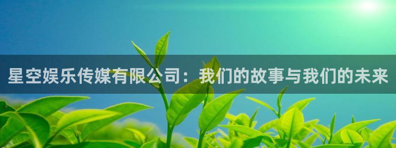 天天购彩f平台注册：星空娱乐传媒有限公司：我们的故事与我们的未来