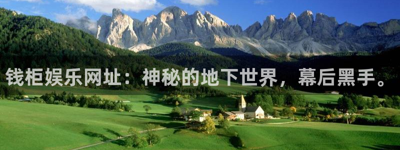天天购彩包怎么样