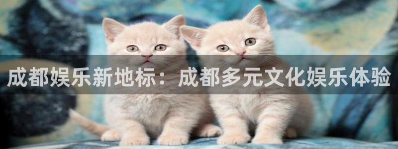 天天购彩零能源集团：成都娱乐新地标：成都多元文化娱乐体验