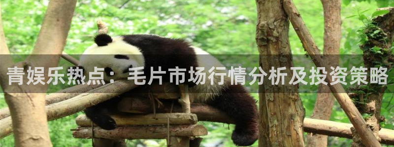 天天购彩：青娱乐热点：毛片市场行情分析及投资策略