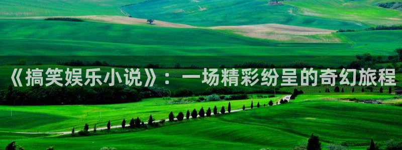 天天购彩4平台注册：《搞笑娱乐小说》：一场精彩纷呈的奇幻旅程