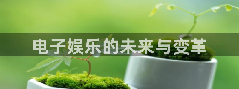 天天购彩环保：电子娱乐的未来与变革