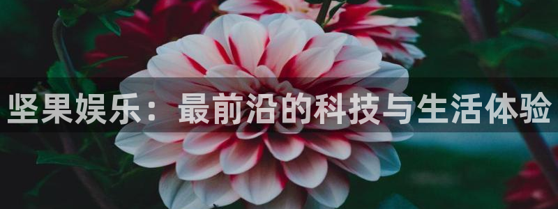 天天购彩3官网：坚果娱乐：最前沿的科技与生活体验