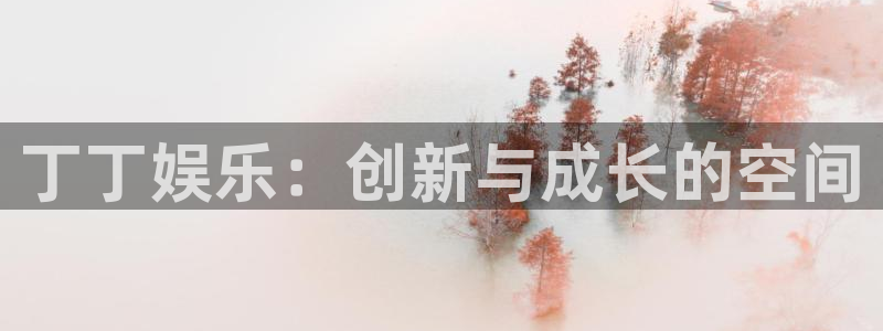 天天购彩f凯捷平台在线注册：丁丁娱乐：创新与成长的空间