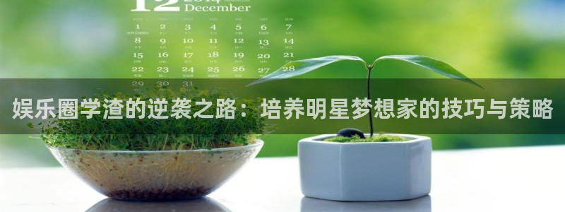 天天购彩包怎么样：娱乐圈学渣的逆袭之路：培养明星梦想家的技巧与策略