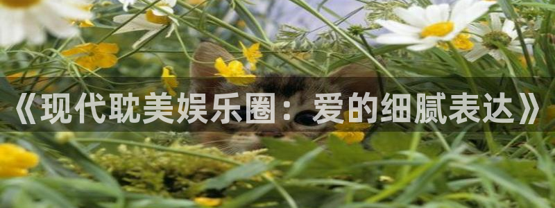 天天购彩4官网：《现代耽美娱乐圈：爱的细腻表达》