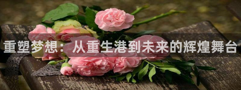 天天购彩5招商：重塑梦想：从重生港到未来的辉煌舞台