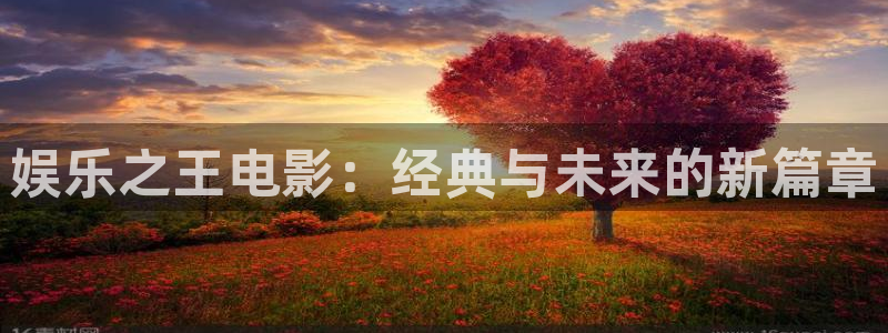天天购彩4开户：娱乐之王电影：经典与未来的新篇章