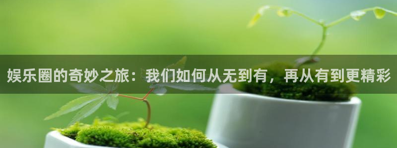 天天购彩现在优惠多少：娱乐圈的奇妙之旅：我们如何从无到有，再从有到更精彩
