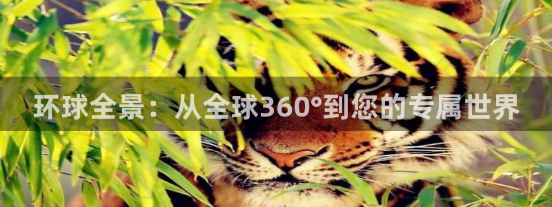 天天购彩凯捷平台：环球全景：从全球360°到您的专属世界