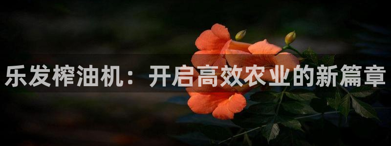 成都天天购彩电子有限公司：乐发榨油机：开启高效农业的新篇章