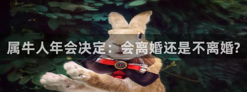 天天购彩2体育：属牛人年会决定：会离婚还是不离婚?